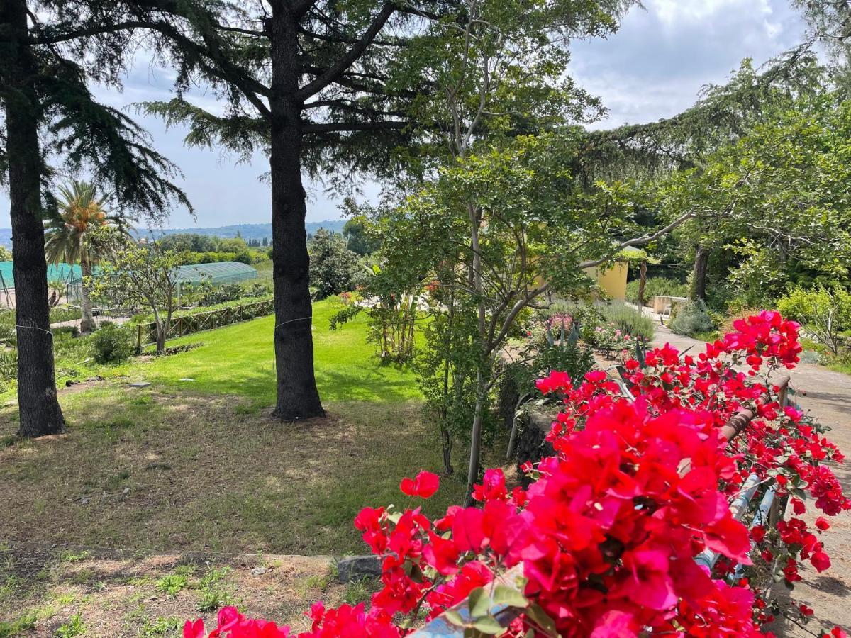 Villa Palm Hill Piedimonte Etneo Exteriér fotografie