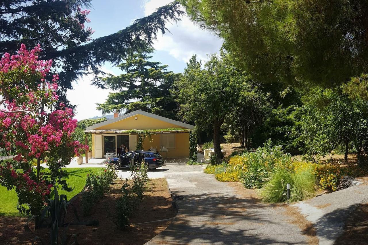 Villa Palm Hill Piedimonte Etneo Exteriér fotografie