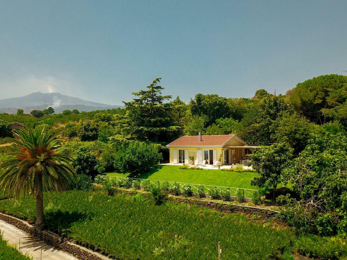 Villa Palm Hill Piedimonte Etneo Exteriér fotografie